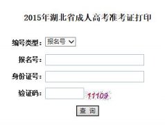 2015年中南财经政法大学成人高考准考证打印入口