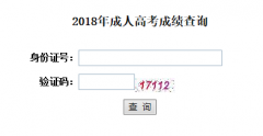 中南财经政法大学成教本科成绩查询