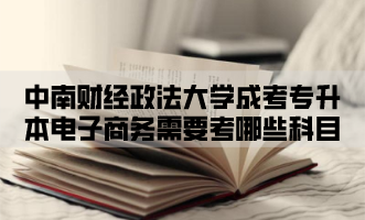 中南财经政法大学成考专升本电子商务需要考哪些科目